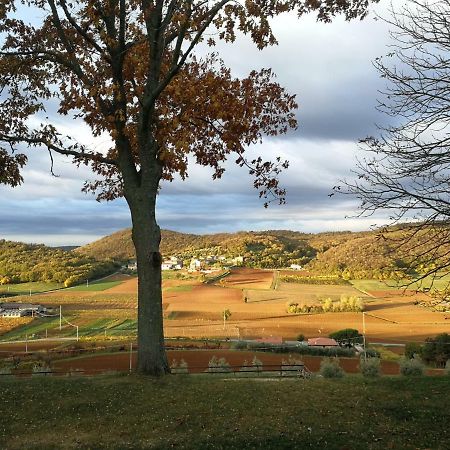 Paglia E Fieno Bed & Breakfast Villaga Екстериор снимка