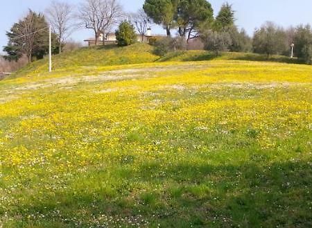Paglia E Fieno Bed & Breakfast Villaga Екстериор снимка