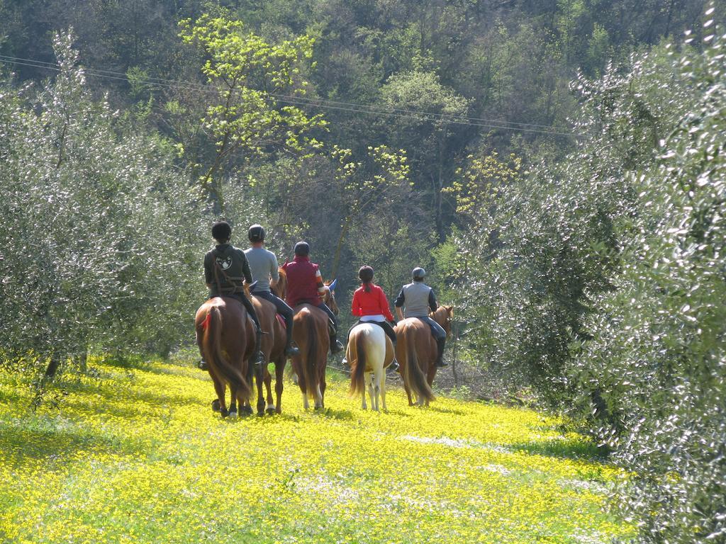 Paglia E Fieno Bed & Breakfast Villaga Екстериор снимка