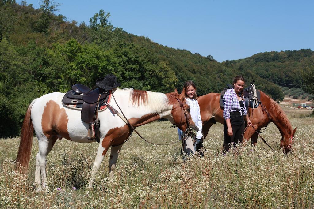 Paglia E Fieno Bed & Breakfast Villaga Екстериор снимка