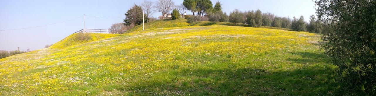 Paglia E Fieno Bed & Breakfast Villaga Екстериор снимка